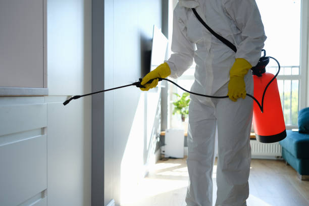 Best Mold Testing  in Darien, IL