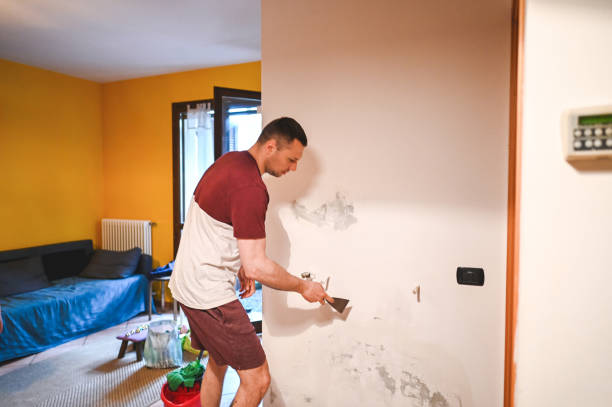 Best Local Mold Removal Service  in Darien, IL